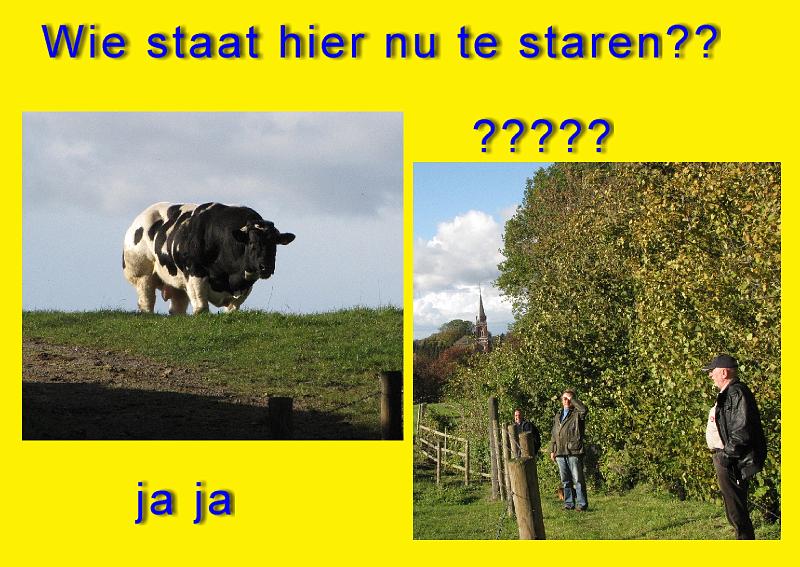MG Herfstwandeling (46).JPG